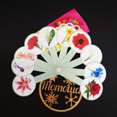 Навчальне віяло: вивчаємо квіти / Козлов