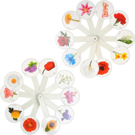 Навчальне віяло: вивчаємо квіти / Козлов