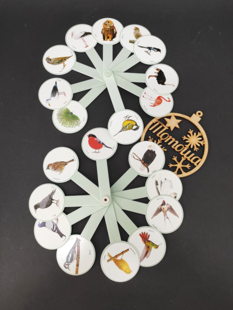 Учебный веер: изучаем птиц/ Навчальне віяло: вивчаємо птахів (Козлов)