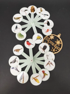 Учебный веер: изучаем птиц/ Навчальне віяло: вивчаємо птахів (Козлов)