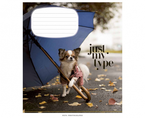 Учебная тетрадь 24 листа линия Школярик 3234 ВД-лак