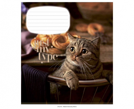 Учебная тетрадь 24 листа линия Школярик 3234 ВД-лак