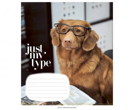 Учебная тетрадь 24 листа линия Школярик 3234 ВД-лак