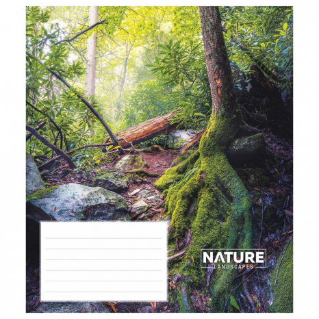 Учнівський зошит 24 аркуша клітинка Школярик 3375 ВД-лак (ціна за 1 штуку)