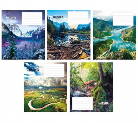 Учебная тетрадь 24 листа клетка Школярик 3375 ВД-лак (цена за 1 штуку)