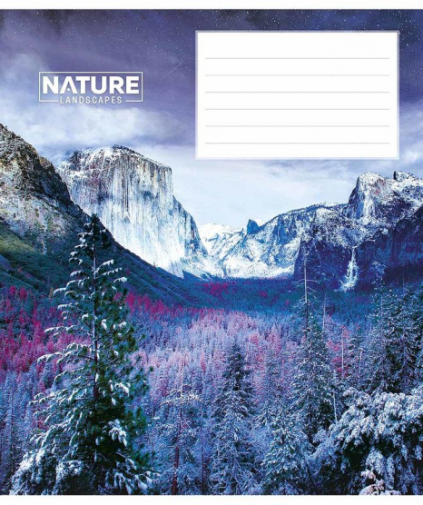 Учебная тетрадь 24 листа клетка Школярик 3375 ВД-лак (цена за 1 штуку)