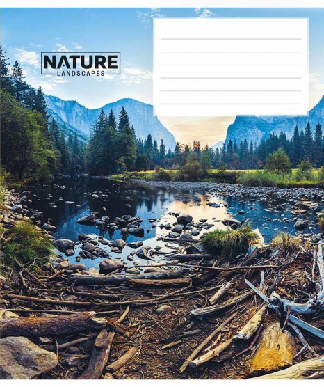 Учебная тетрадь 24 листа клетка Школярик 3375 ВД-лак (цена за 1 штуку)