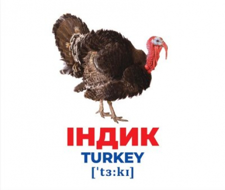 Картки Домана демонстраційні Геній з пелюшок. Свійські тварини (англо-укр) 1025-2 10107191У