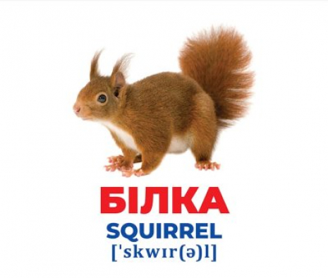 Картки Домана демонстраційні Геній з пелюшок.Тварини України (англо-укр) 1020-2 Ранок  10107192У