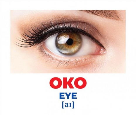 Картки Домана демонстраційні Геній з пелюшок.Будова тіла (укр) 10107202У Ранок