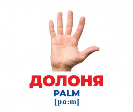 Картки Домана демонстраційні Геній з пелюшок.Будова тіла (укр) 10107202У Ранок