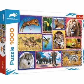 Пазлы "Дикая природа" (1000 дет.) 10673 Trefl