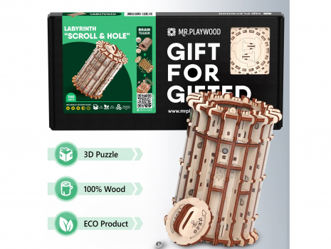 Дерев'яний конструктор Лабіринт Scroll & hole 100 ел Mr.Playwood (10701)