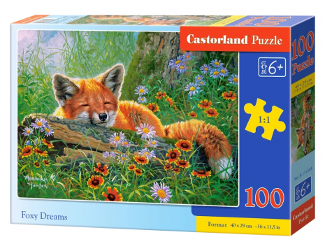 Пазл "Сни лисички", 100 деталей, 40*29 см, Castorland. 111244