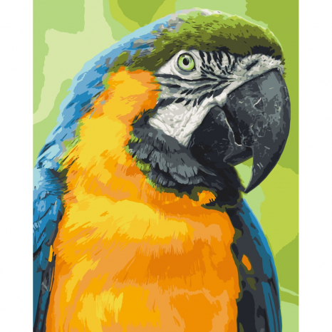Картина за номерами "Папуга Ара" Art Craft. 11643-AC