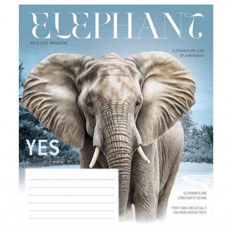 Ученическая тетрадь 12 листов клетка Star 3428 ВД-лак 12-3428К (цена за штуку)