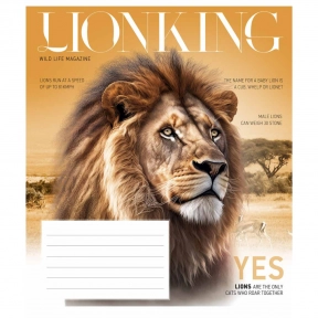 Учнівський зошит 12 аркушів клітинка Star 3428 ВД-лак 12-3428К (ціна за штуку)