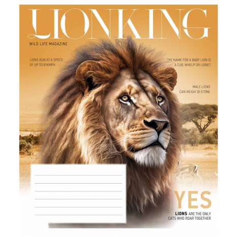 Ученическая тетрадь 12 листов клетка Star 3428 ВД-лак 12-3428К (цена за штуку)