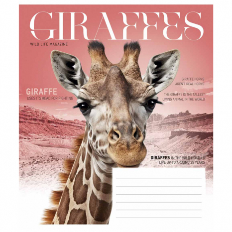 Ученическая тетрадь 12 листов клетка Star 3428 ВД-лак 12-3428К (цена за штуку)