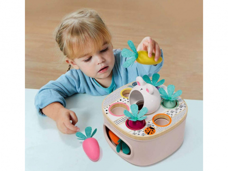 Гра сортер Морква ТМ Top Bright 121103