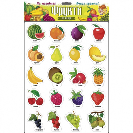 Дитячі магніти "Фрукти та ягоди", Artos