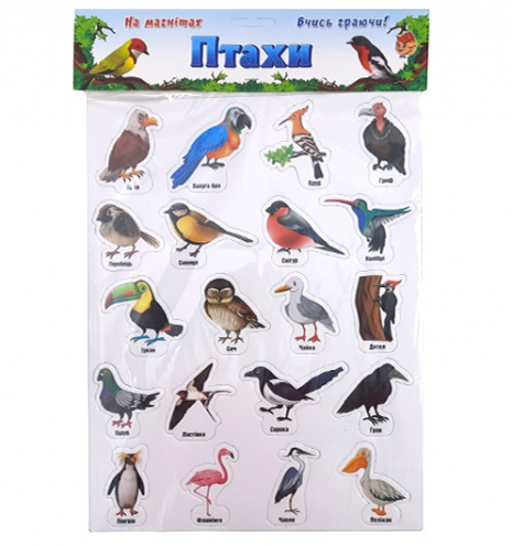 Дитячі магніти "Птахи", Artos
