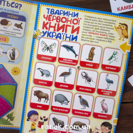 Лепбук. Світ тварин