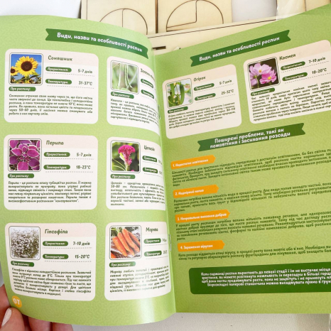 Набір дослідів: Ботанічні експерименти (маленький садівник) 26072