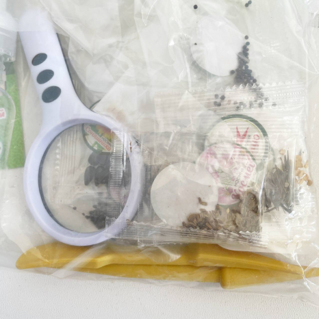 Набір дослідів: Ботанічні експерименти (маленький садівник) 26072