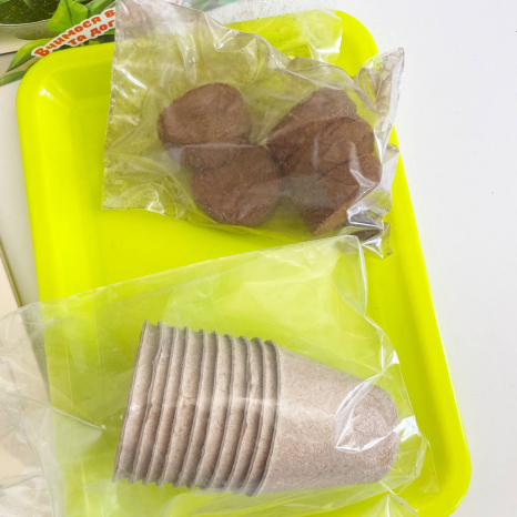 Набір дослідів: Ботанічні експерименти (маленький садівник) 26072