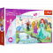 Пазли - 60 елм. - 17361 "Впізнай принцесу", Дісней Принцеси, Trefl