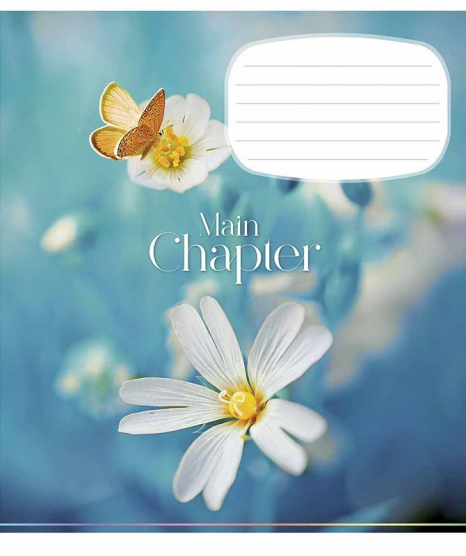 Учебные тетради 18 линия Школярик 3192 ВД-лак