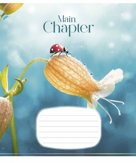 Учнівські зошити 18 лінія Школярик 3192 ВД-лак