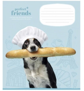 Ученическая тетрадь 18 листов клетка Школярик 3250 ВД-лак (цена за 1 штуку)