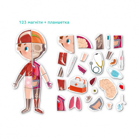 Розвиваюча магнітна гра - пазл Будова тіло. Анатомія людини Dodo 200220