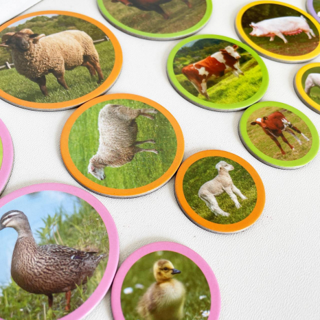 Магнітний набір Монтесорі Родини тварин: ферма Dodo Додо 200271