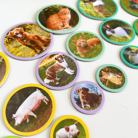 Магнітний набір Монтесорі Родини тварин: ферма Dodo Додо 200271