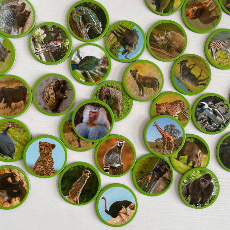 Магнитный набор Монтессори Животные на континентах: Африка, Додо, 200271