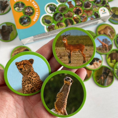 Магнитный набор Монтессори Животные на континентах: Африка, Додо, 200271