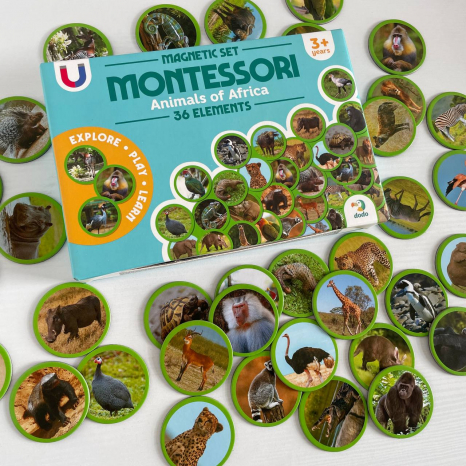 Магнитный набор Монтессори Животные на континентах: Африка, Додо, 200271