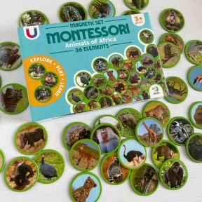Магнітний набір Монтесорі Тварини на континентах: Африка, Dodo, Додо, 200271