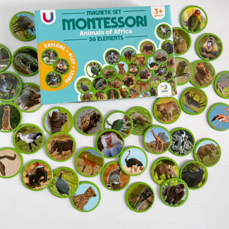 Магнитный набор Монтессори Животные на континентах: Африка, Додо, 200271