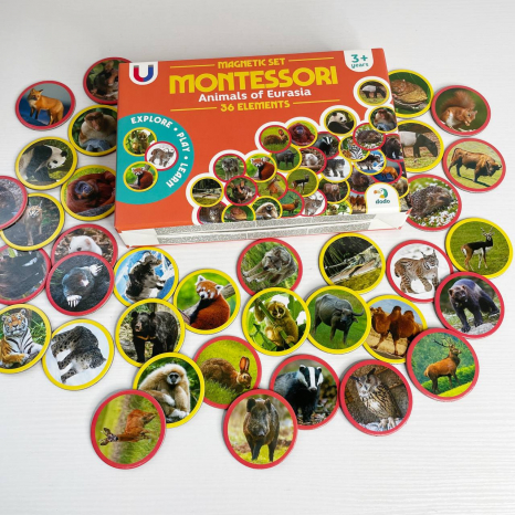 Магнітний набір Монтесорі «Тварини на континентах: Євразія» 36 елементів, Dodо, 200285