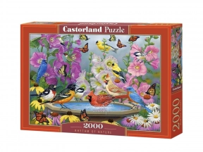 Пазли картонні 2000 елементів Ритм природи Castorland 200818