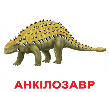 Картки Домана "Динозаври" Вундеркінд з пелюшок.