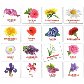 Карточки Домана мини Цветы / Flowers англо-укр. Вундеркинд с пеленок 2100063276324