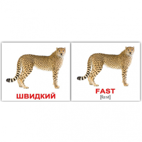 Міні-картки Домана "Прикметники/Adjectives" Вундеркінд з пелюшок.