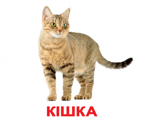 Картки Домана "Свійські тварини" від Вундеркінд з пелюшок, великі, з фактами. 2100064095184