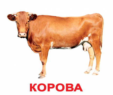 Картки Домана "Свійські тварини" від Вундеркінд з пелюшок, великі, з фактами. 2100064095184