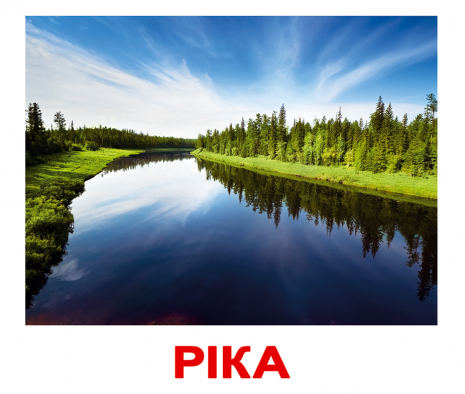 Картки Домана "Природа" від Вундеркінд з пелюшок, великі, з фактами. 2100064096068